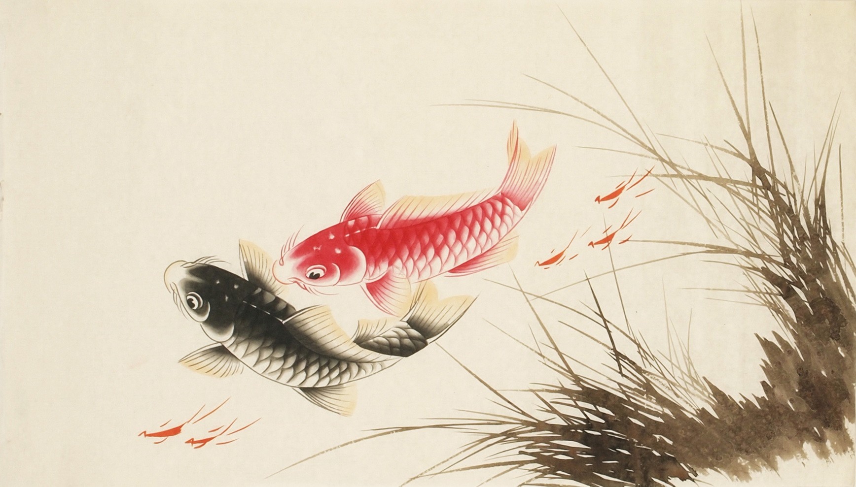 Fish - CNAG003705