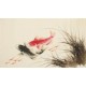 Fish - CNAG003707