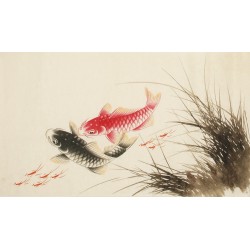 Fish - CNAG003707