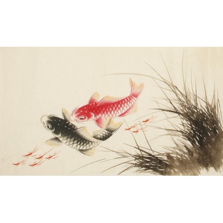 Fish - CNAG003707