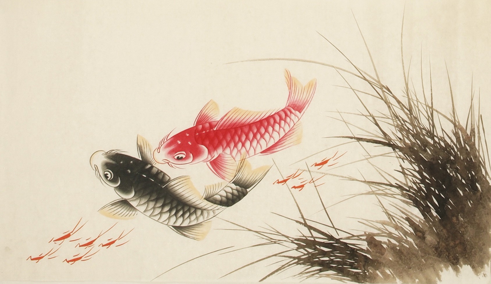 Fish - CNAG003707