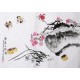 Plum - CNAG003708