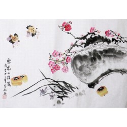 Plum - CNAG003708