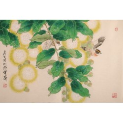 Other Birds - CNAG003710