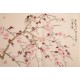 Plum - CNAG003711