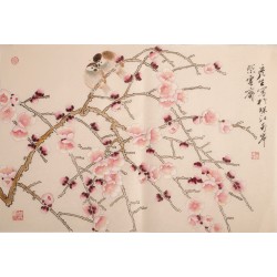 Plum - CNAG003711