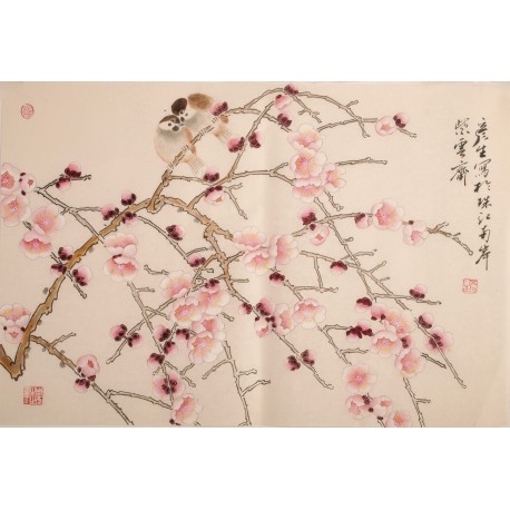 Plum - CNAG003711