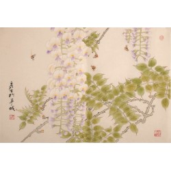 Wisteria - CNAG003712