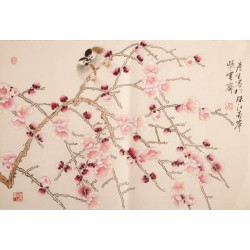 Plum - CNAG003713