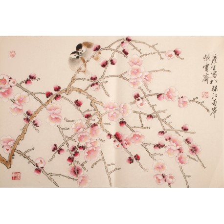 Plum - CNAG003713