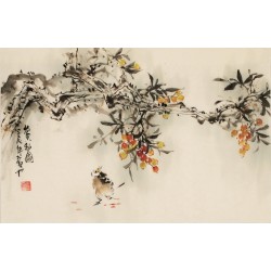 Other Birds - CNAG003717