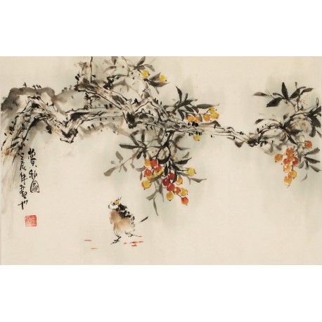 Other Birds - CNAG003717