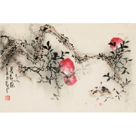 Peach Blossom - CNAG003719