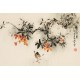 Other Birds - CNAG003720