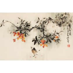 Other Birds - CNAG003720
