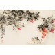 Other Birds - CNAG003723