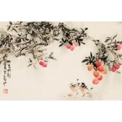 Other Birds - CNAG003723
