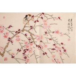 Plum - CNAG003724