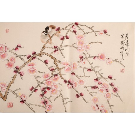 Plum - CNAG003724