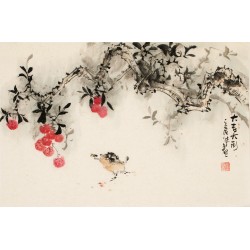 Other Birds - CNAG003726
