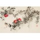 Peach Blossom - CNAG003728