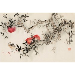 Peach Blossom - CNAG003728