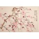 Plum - CNAG003730