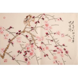 Plum - CNAG003730