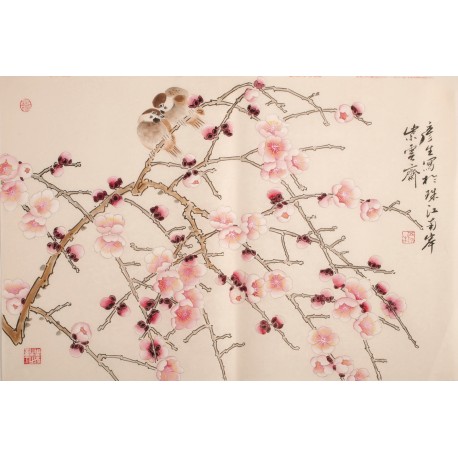 Plum - CNAG003730