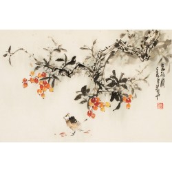 Other Birds - CNAG003734