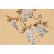 Wisteria - CNAG003738