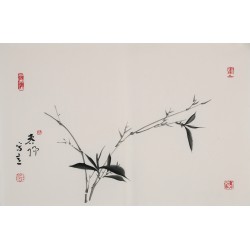 Bamboo - CNAG003739
