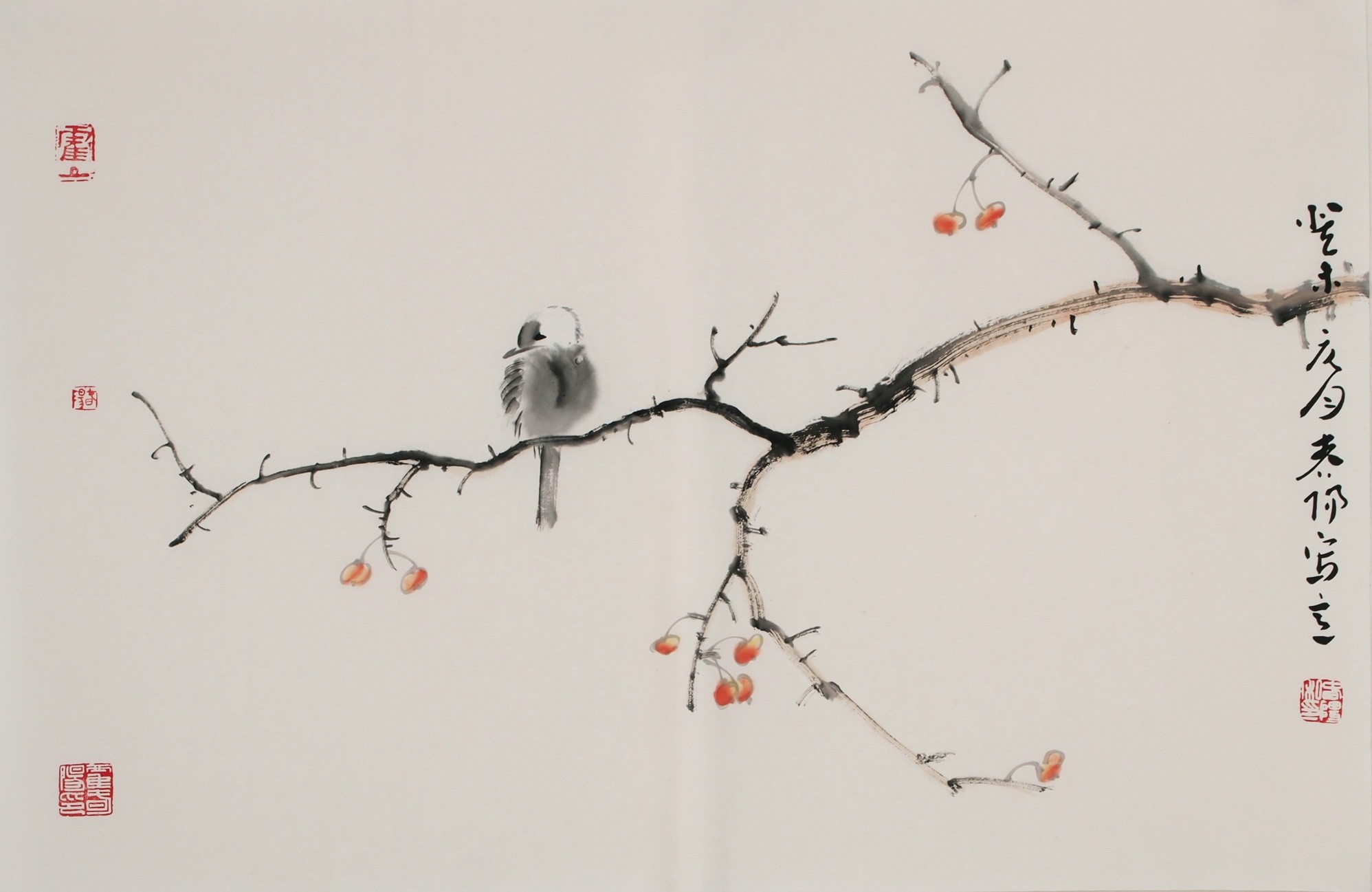 Other Birds - CNAG003740