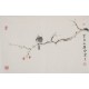 Other Birds - CNAG003741