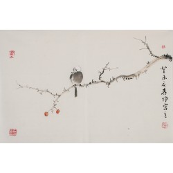 Other Birds - CNAG003741