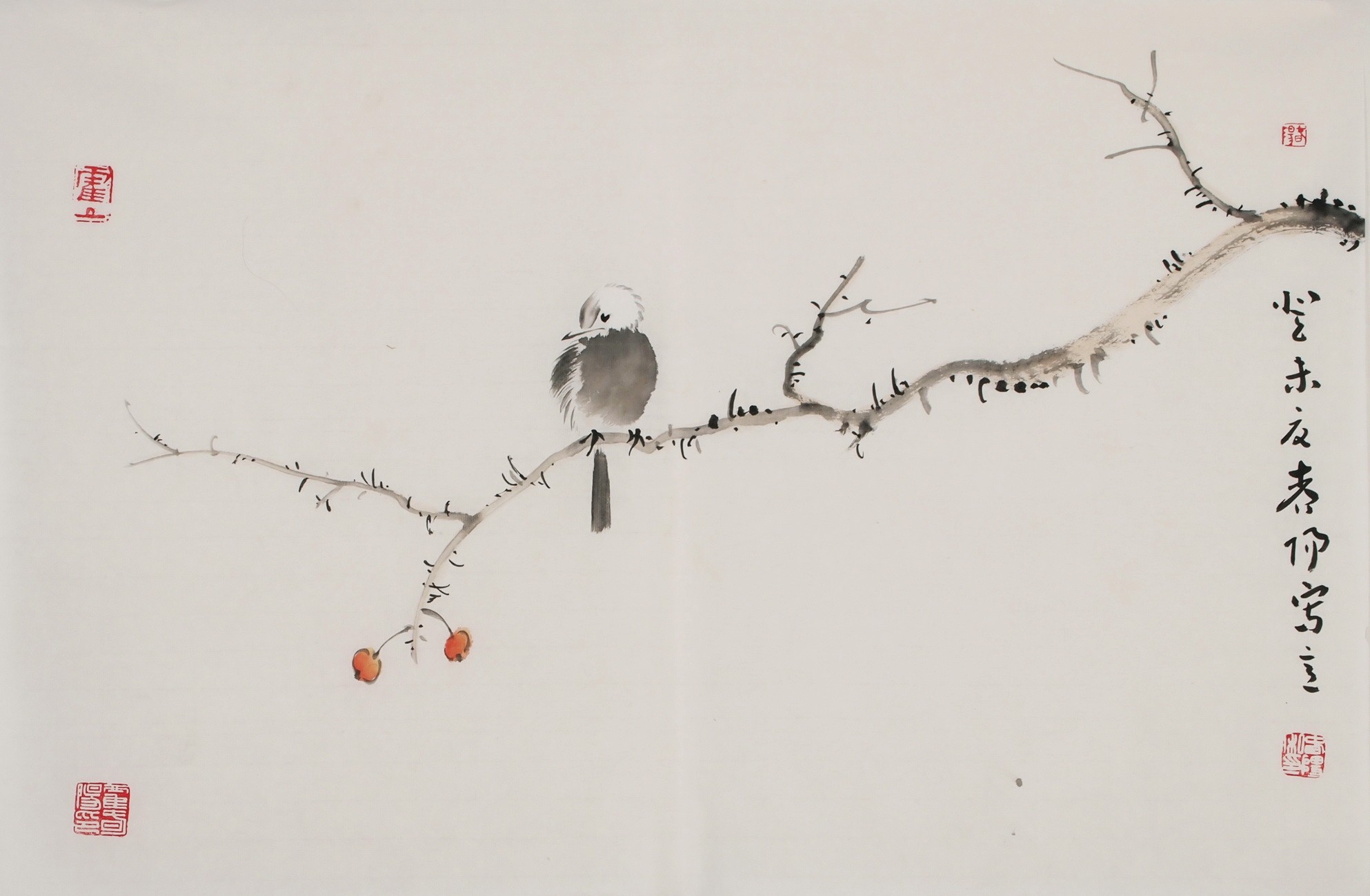 Other Birds - CNAG003741