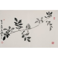Other Birds - CNAG003743