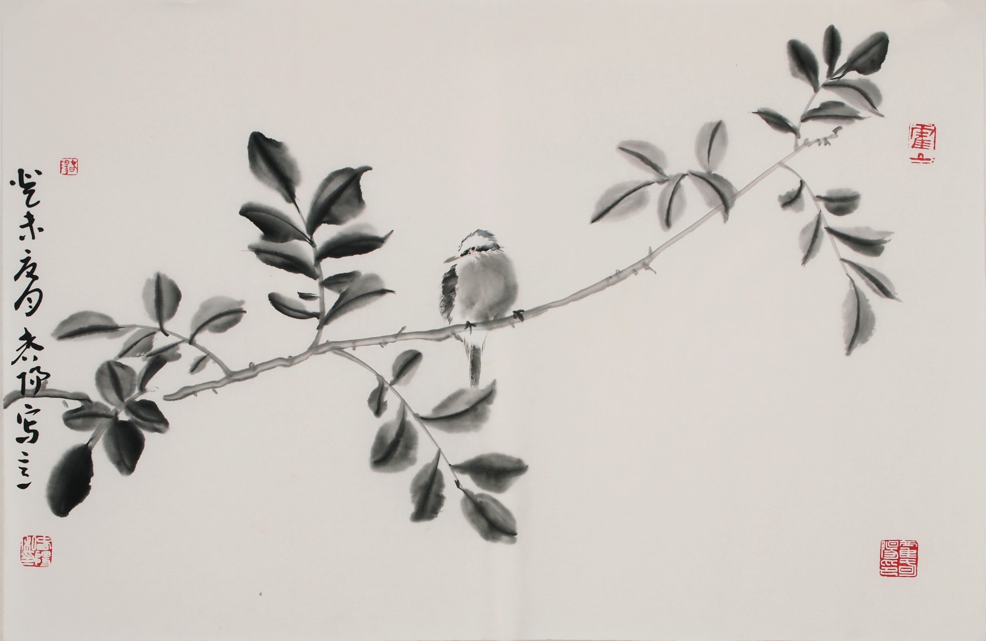 Other Birds - CNAG003743