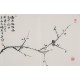 Plum - CNAG003744