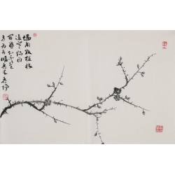Plum - CNAG003744