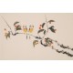 Other Birds - CNAG003755