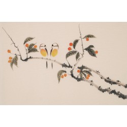 Other Birds - CNAG003755