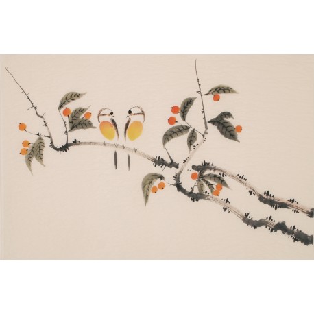Other Birds - CNAG003755