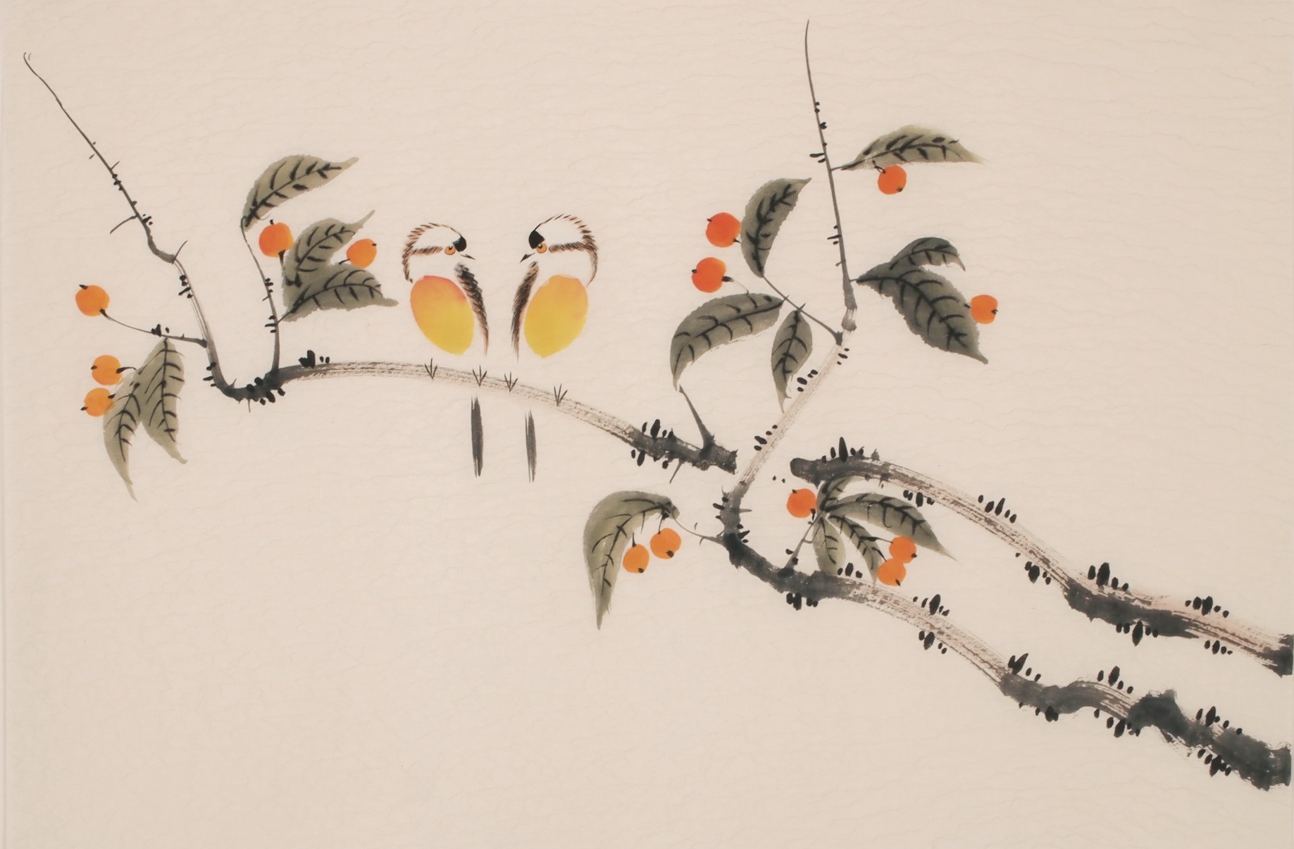 Other Birds - CNAG003755