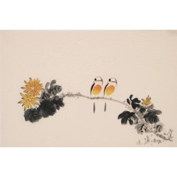 Chrysanthemum - CNAG003757