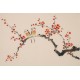 Plum - CNAG003760
