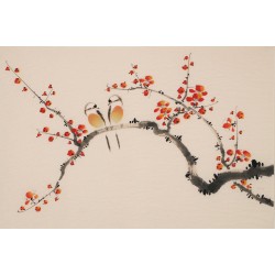 Plum - CNAG003760
