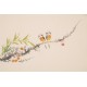 Other Birds - CNAG003763