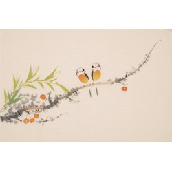 Other Birds - CNAG003763