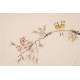 Peach Blossom - CNAG003765